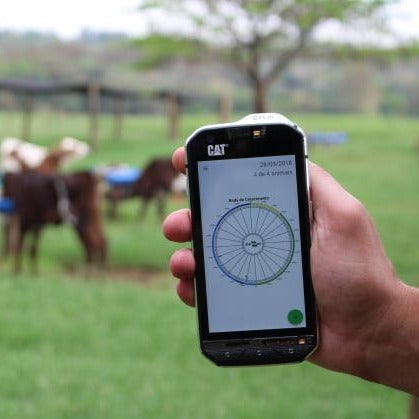 Cow Reproduction Copilot